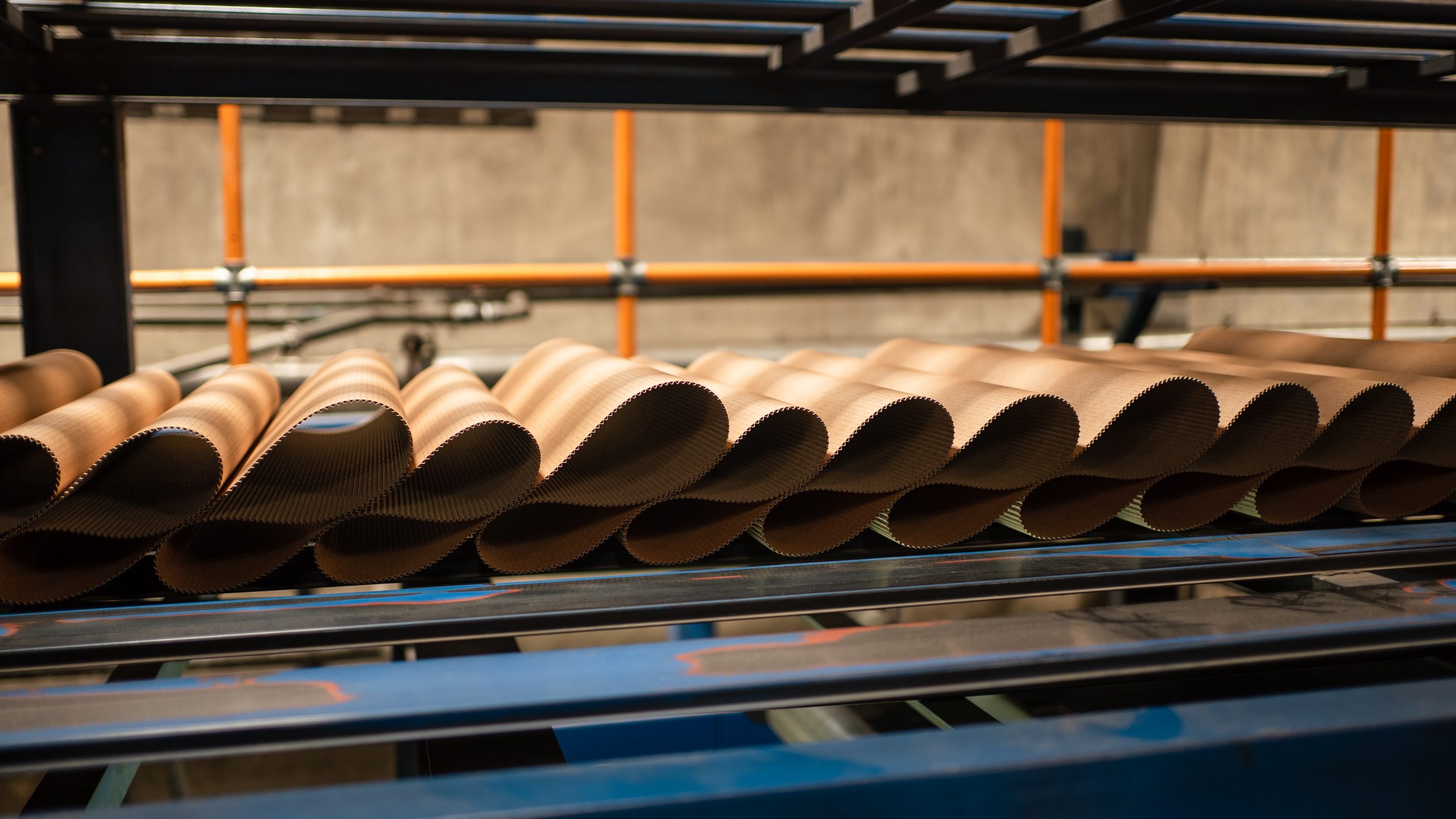 Fluted corrugated board running off the corrugator at the Mega Pack plant in Nakuru, Kenya