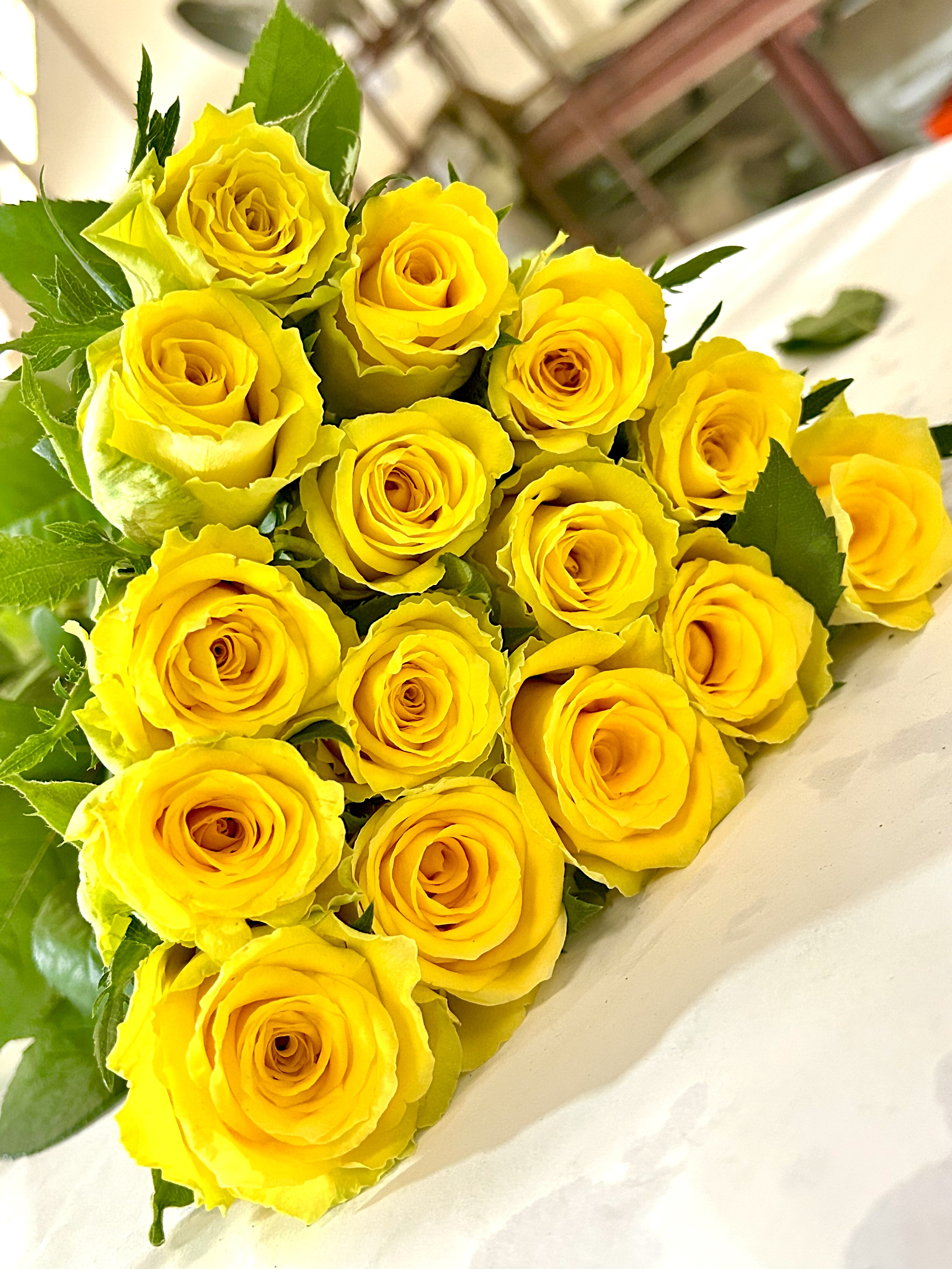 Good Times, a yellow standard rose