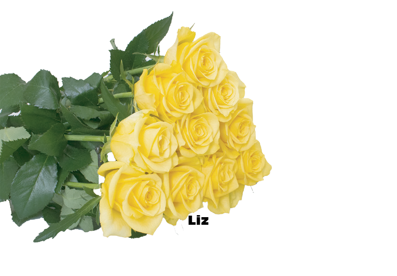 Liz, a yellow standard rose grown at Florenza Farm