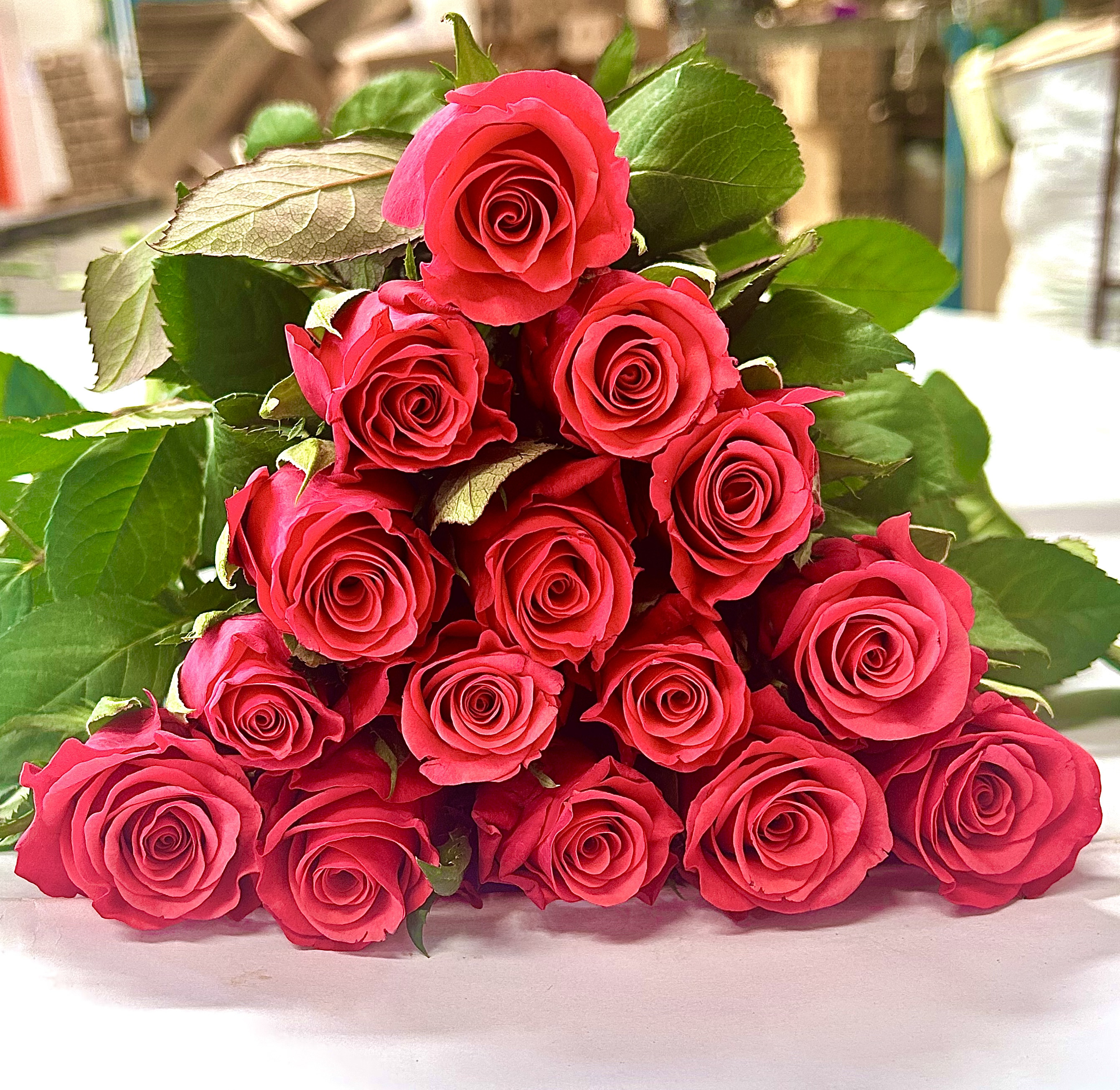 Tacazzi, a magenta standard rose