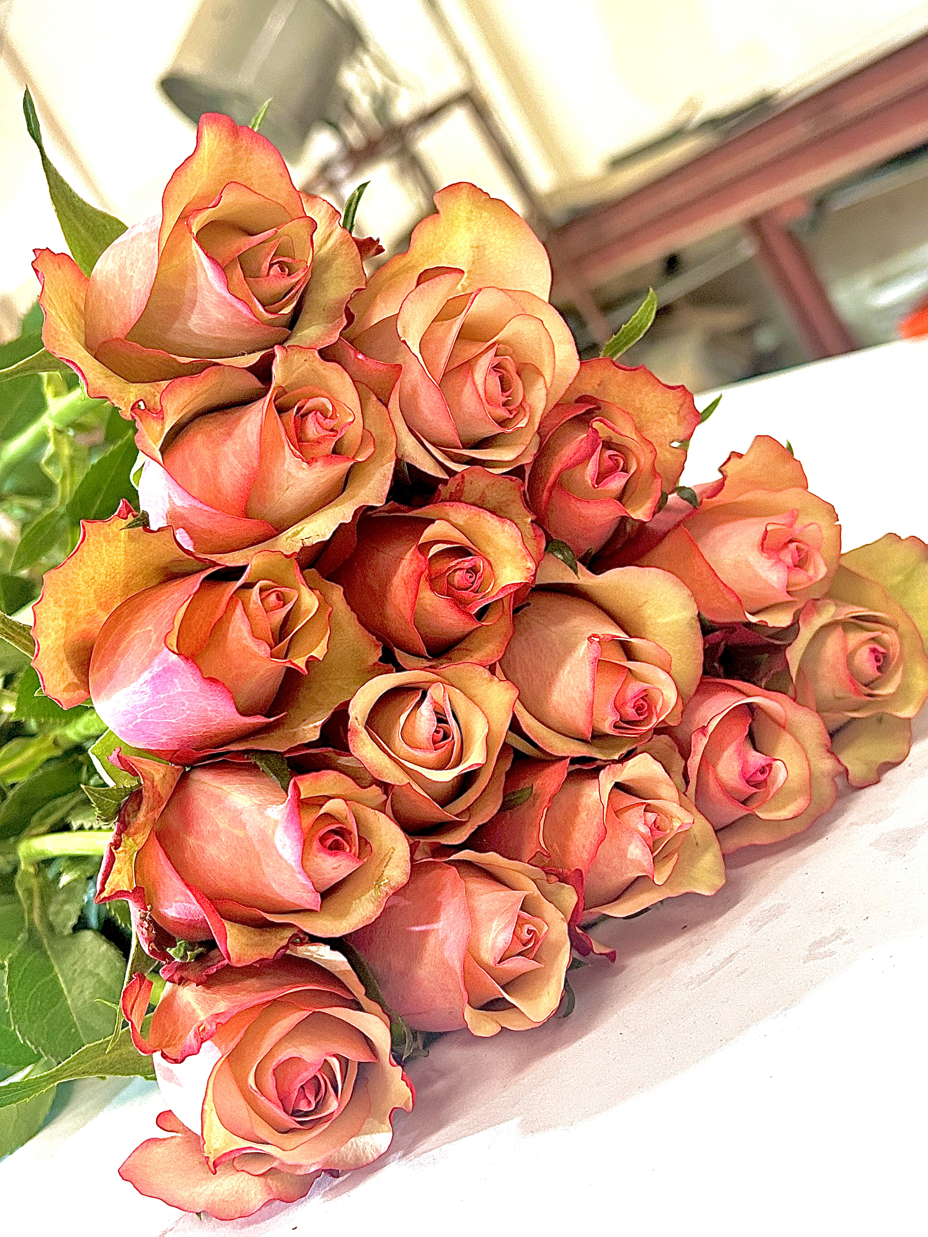 Vintage, a mauve taupe standard rose grown at Roseto Farm